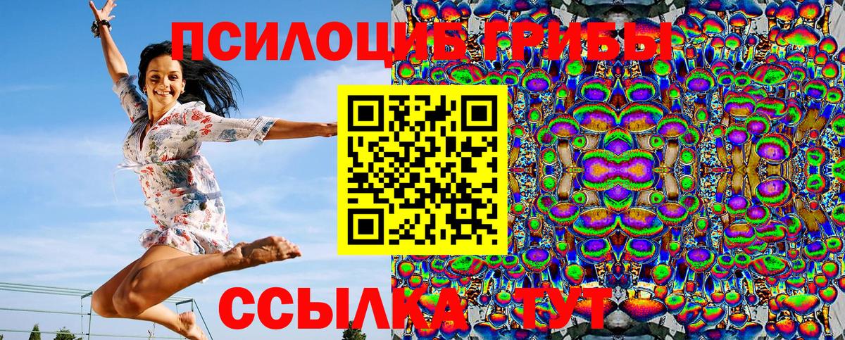 где купить наркоту  Псилоцибиновые грибы MAGIC MUSHROOMS  Вход с VPN  Стрежевой 